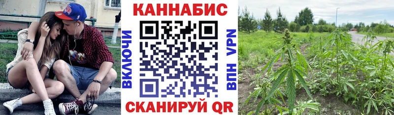 купить наркотики цена  Сертолово  Конопля тримм 